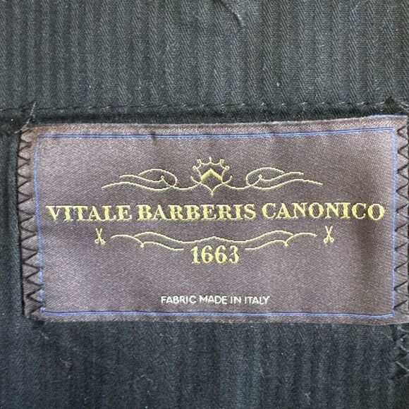 Vitale Barberis Canonico 100% Wool Pleated Dress Pants 49R Luxury Gray Trousers - Picture 6 of 8